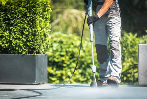 Best Building Exterior Washing  in Bemidji, MN