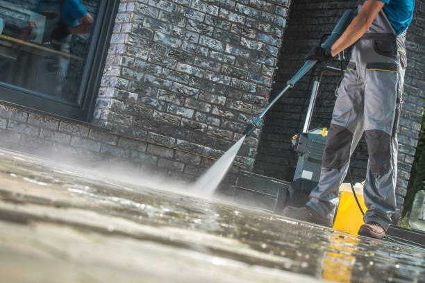 Best Dumpster Area Cleaning  in Bemidji, MN