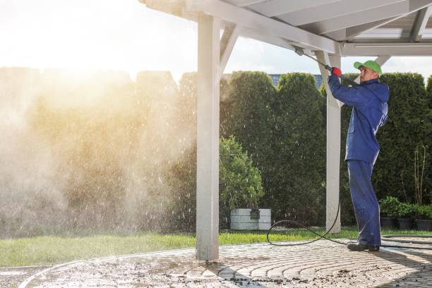 Best Fleet Vehicle Washing  in Bemidji, MN