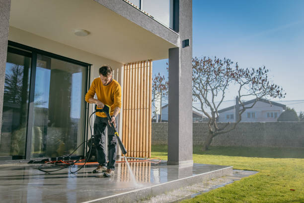 Best Driveway Pressure Washing  in Bemidji, MN