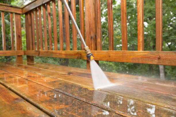 Best Gutter Cleaning  in Bemidji, MN